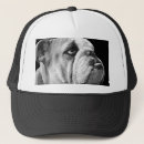 Pesquisar por buldogue bones Animais