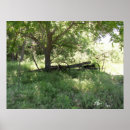 Pesquisar por esquecido pôsteres pósteres Carro