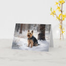 Pesquisar por silk cartoes Qualquer pessoa