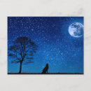 Pesquisar por lobos selvagens cartoes postais Floresta