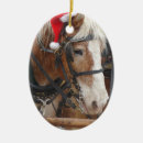 Pesquisar por papai noel ornamentos Cavalo
