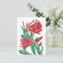 Pesquisar por flor vermelha do cacto cartoes postais Floração