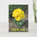 Pesquisar por tulipas amarelas cartoes Qualquer pessoa