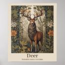 Pesquisar por deer pôsteres pósteres Qualquer pessoa
