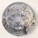 Pesquisar por leopardo de neve porta copos Vida selvagem