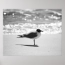 Pesquisar por praia preto e branco pôsteres pósteres Fotografia