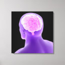 Pesquisar por cérebro humano impressão de canvas Anatomia