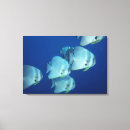 Pesquisar por pessoas impressão de canvas Animais