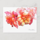 Pesquisar por begonia cartoes postais Botânica