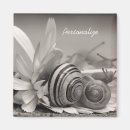 Pesquisar por caracol de jardim imas Caracóis