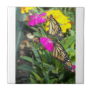 Pesquisar por gêmeos azulejos Primavera