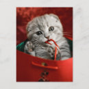 Pesquisar por natal gatinho cartoes postais Animal