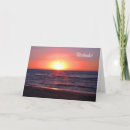 Pesquisar por mosquito o cartoes Qualquer pessoa