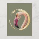 Pesquisar por bird cartoes postais Vida selvagem