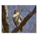 Pesquisar por xamanismo pôsteres pósteres Paganismo