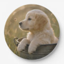 Pesquisar por retriever pratos Cachorro