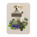 Pesquisar por pote imas Para ela