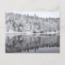 Pesquisar por porte postal da floresta Neve