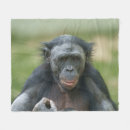 Pesquisar por primate mantas Para todos