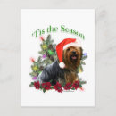 Pesquisar por yorkshire cartoes postais Terrier