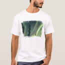 Pesquisar por aurora camisetas Silhueta