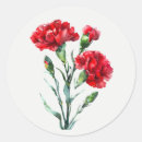 Pesquisar por cravo vermelho adesivos Jardim