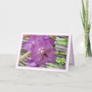 Pesquisar por querido amigo cartoes Para todos