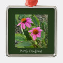 Pesquisar por condor casa presentes Natureza