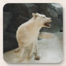 Pesquisar por lobo branco porta copos Natureza