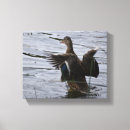Pesquisar por artes do livro impressão de canvas Aves
