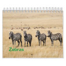 Pesquisar por zebra calendarios Calendário