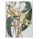 Pesquisar por pierre joseph cadernos de notas Buchoz