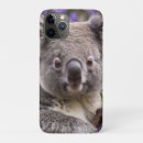 Pesquisar por coala iphone capas Urso