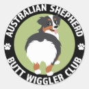 Pesquisar por australian shepherd adesivos Animal