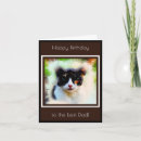 Pesquisar por happy birthday cat Para ele