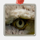 Pesquisar por eagle ornamentos Natureza