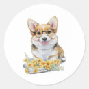 Pesquisar por corgi adesivos Córgi