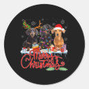 Pesquisar por dachshund natal adesivos Árvore de natal