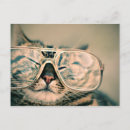 Pesquisar por grande porte postal Gato