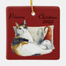 Pesquisar por calico ornamentos Animal