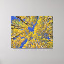 Pesquisar por outono impressão de canvas Céu azul