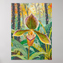 Pesquisar por orquídea pôsteres pósteres Floração