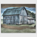 Pesquisar por galo papel de presente Celeiro