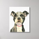 Pesquisar por animais estimação retratos Doce