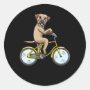 Pesquisar por cão a bordo adesivos Engraçado