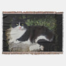 Pesquisar por cabelo preto mantas Qualquer pessoa