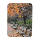 Pesquisar por espiões cartoes Espiões de folha