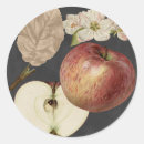 Pesquisar por etiqueta da fruta adesivos Comida
