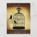 Pesquisar por birdcage cartoes postais Vintage