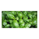 Pesquisar por ervas e especiarias pôsteres pósteres Comida